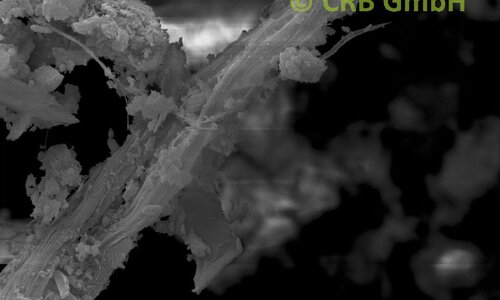 Amiante de chrysotile dans mastics de vitrier, image MEB | © CRB Analyse Service GmbH